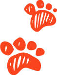 dabal-foot-1